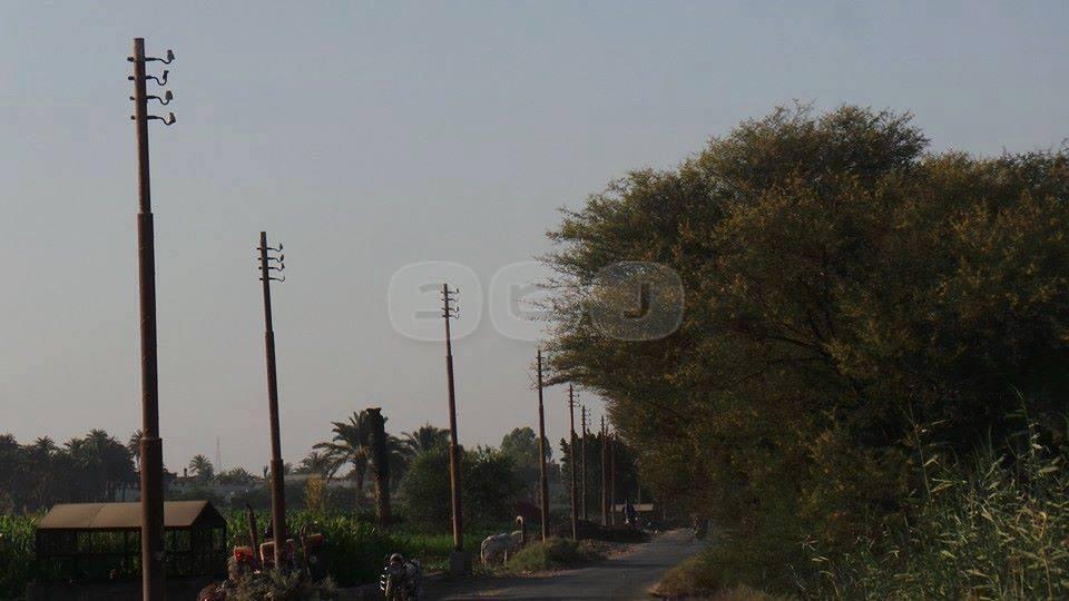 القتل والسرقة.. علامات الطريق الجديدة بعد سرقة كابلات المنيا