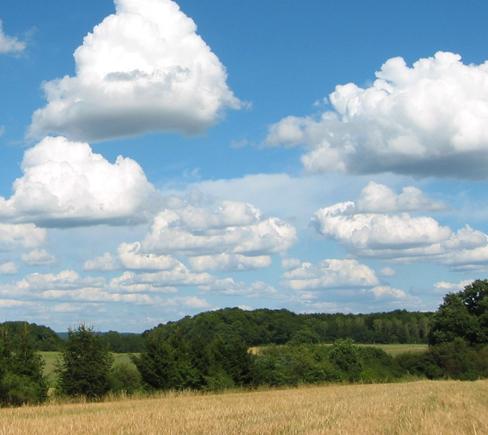 الطقس  حار رطب على الوجه البحري والقاهرة