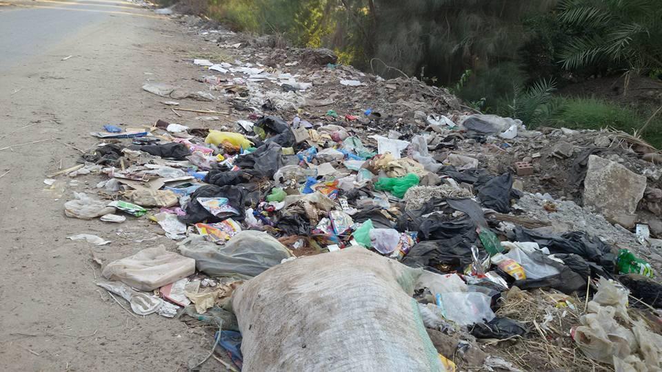 أكوام القمامة تتصدر مدخل قرية “الضباعنة” جنوب بني سويف