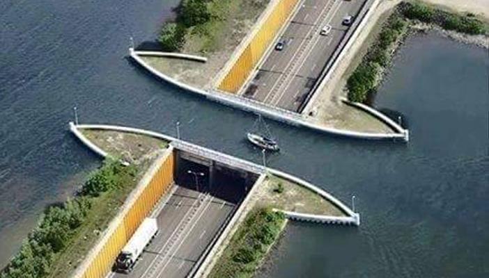 نفق بلبيس العالمي.. طلع “فنكوش”