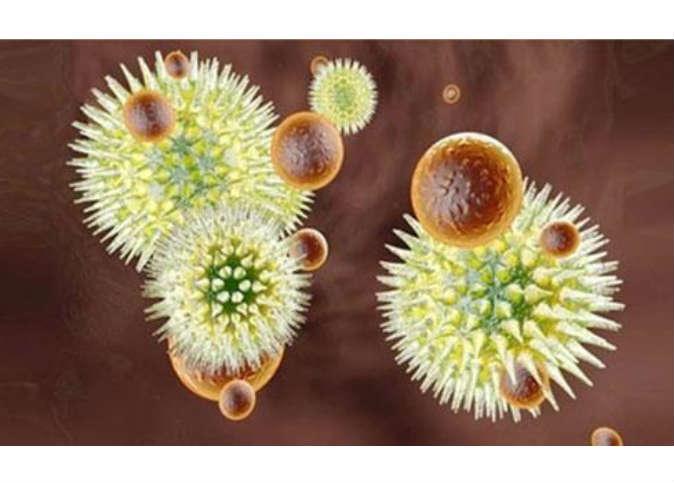 خبراء: الفقر «وقود فتاك» يؤدي إلى تفشي فيروس «الإيبولا»