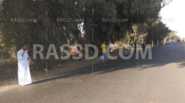 سلسلة بشرية مناهضةً للانقلاب بـ”دريوط” في “أسيوط”