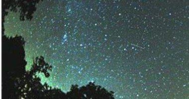 “جوجل” يحتفل بيوم شهب “حامل رأس الغول”