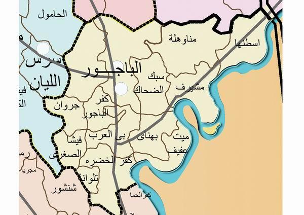 شباب الثورة يدشنون حملة لعزل رئيس مدينة الباجور بالمنوفية