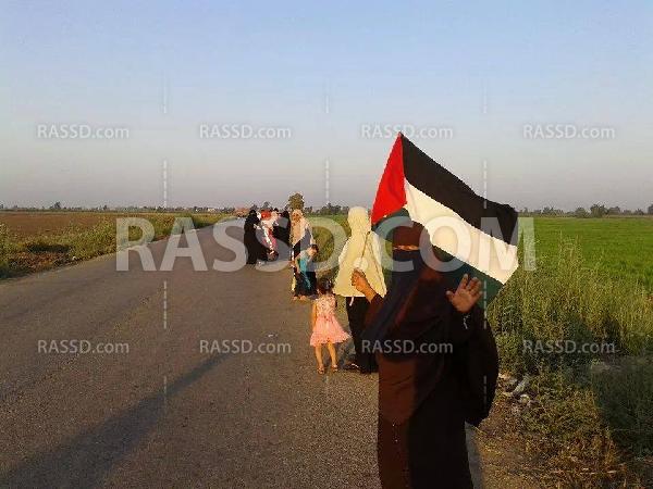 سلسلة بشرية في “قلين” بـ”كفر الشيخ”