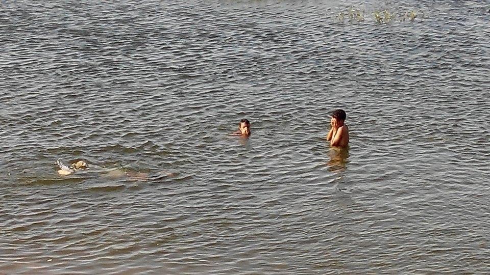 أطفال قنا‬ يلجؤون للنيل والترع هربا من حرارة الجو