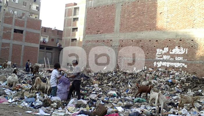 انتشار أكوام القمامة في الشرقية.. والأهالي: “بنتخنق من الريحة”