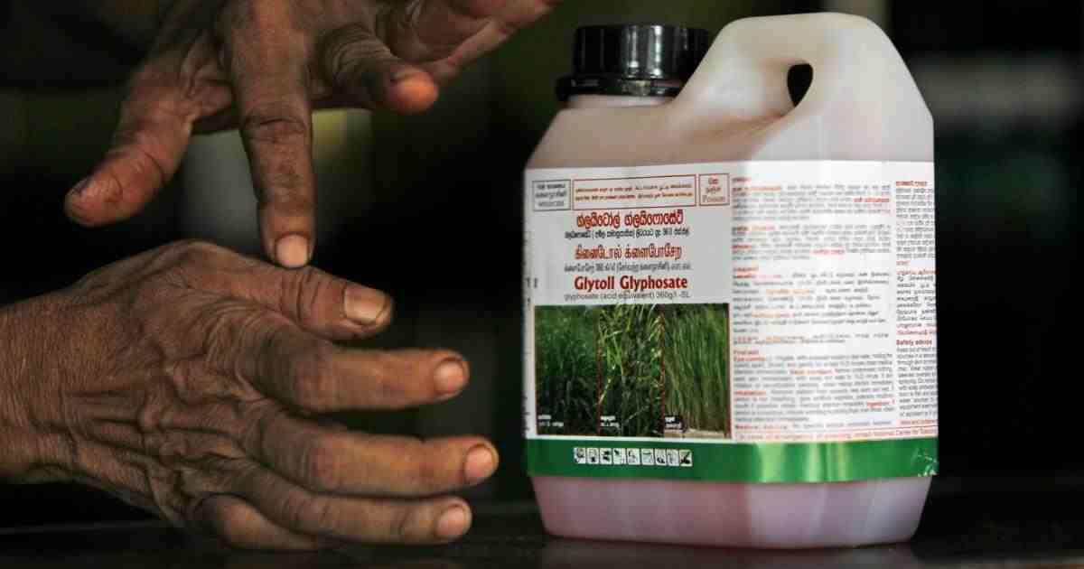 علماء: هيئة الرقابة الأميركية تعتمد مبيد حشائش يسبب السرطان