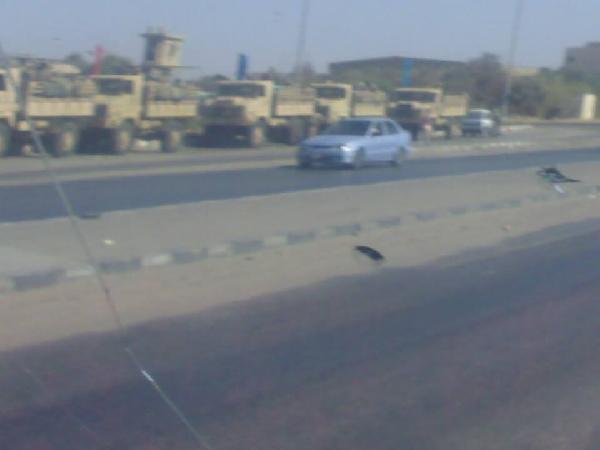 عمال  السويس للصلب: مسلحون مجهولون بالشركة لفض الاعتصام