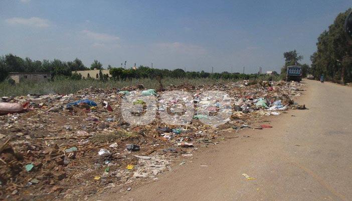 سيارات جمع القمامة تمتنع عن النزول بكفر الزيات.. وسخط بين الأهالي