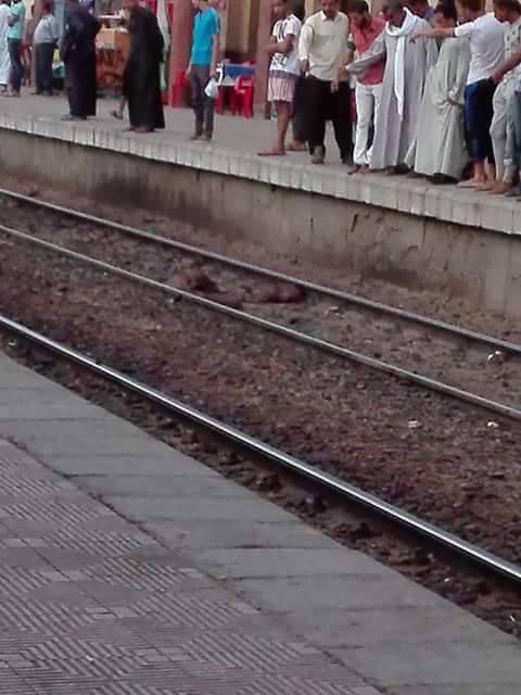 انتحار شاب تحت عجلات قطار ملوي بالمنيا