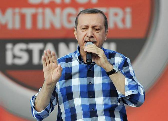 عاجل.. أردوغان يدعو إلى انتخابات برلمانية مبكرة في تركيا