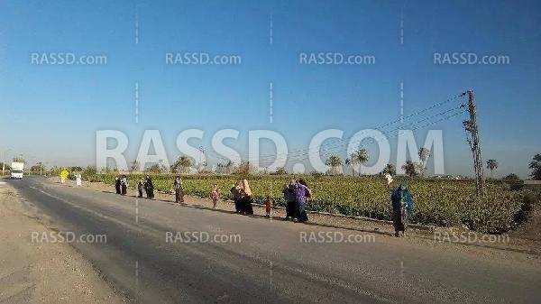 سلسلة بشرية على الطريق الدائري بـ”المنيا”