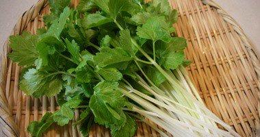 تعرَّف على 4 فوائد للكرفس