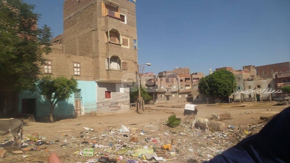 القمامة تغزو أسيوط.. والأهالي لـ”رصد”: تعبنا من الأمراض