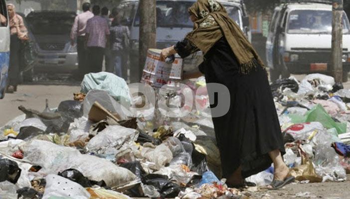 الدقهلية.. الآفات لا تنوي الرحيل