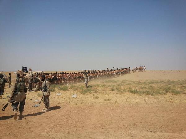 فيديو | “داعش” تأسر 400 ضابط وجندي من جيش بشار