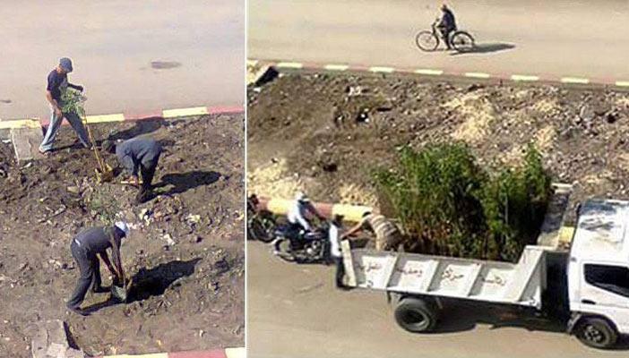 بعد مغادرة الوزير “شالوا الشجر” في المطرية.. الأهالي تحرر محاضر