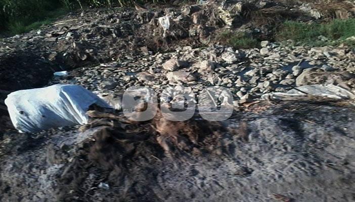 بسبب تدني الخدمات.. أهالي قطور بالغربية للسيسي: لو مش قد الشيلة ارحل!