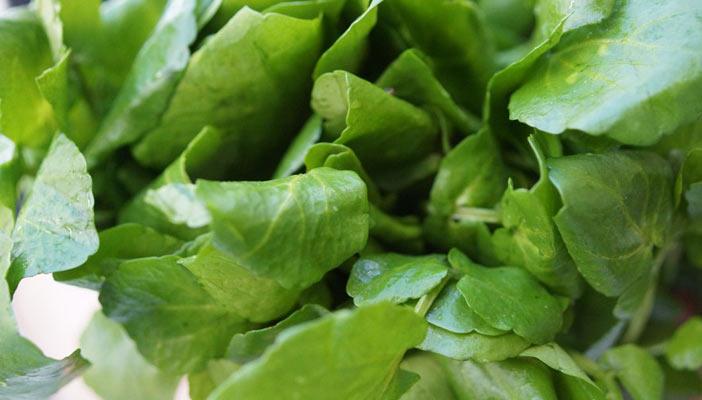 7 أطعمة تحميك من الإصابة بمرض السرطان