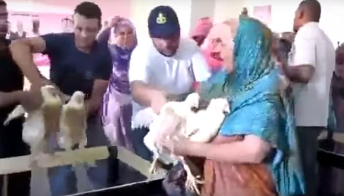 بالفيديو: فرختين لكل مواطن مغربي ثمن صوته فى الانتخابات القادمة