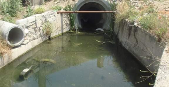 “إسكان الانقلاب” تبدأ استخدام مياه الصرف المعالجة لري المحاصيل