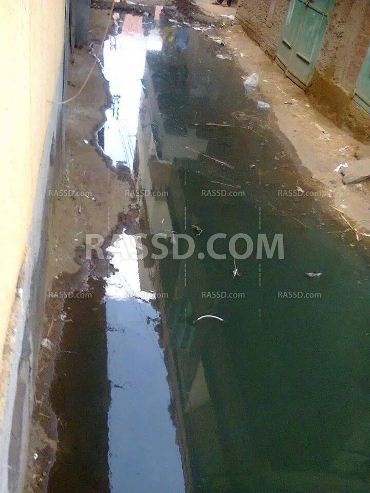 صور| قرى منية النصر بالدقهلية تغرق في مياه الصرف الصحي