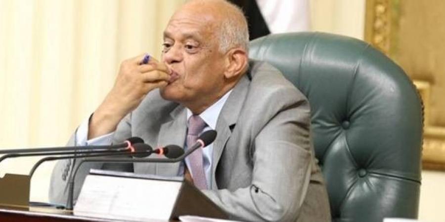 أزمة بين النواب ومجلس الدولة بسبب عبد العال.. ورشدي لـ”رصد” شبه برلمان