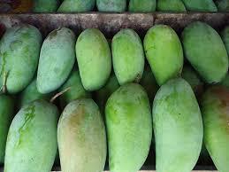 دراسة: المانجو البرية بديل الكاكاو لصنع الشيكولاتة