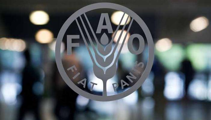 منظمة “فاو”: العالم خسر في ربع قرن غابات بمساحة جنوب إفريقيا