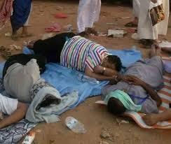 بالفيديو.. حجاج جزائريون يفترشون العراء بعد استيلاء آخرون على غرفهم