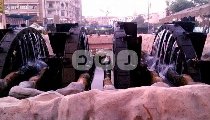 مصر تخسر أحد أهم معالمها الزراعية بمحافظة الفيوم