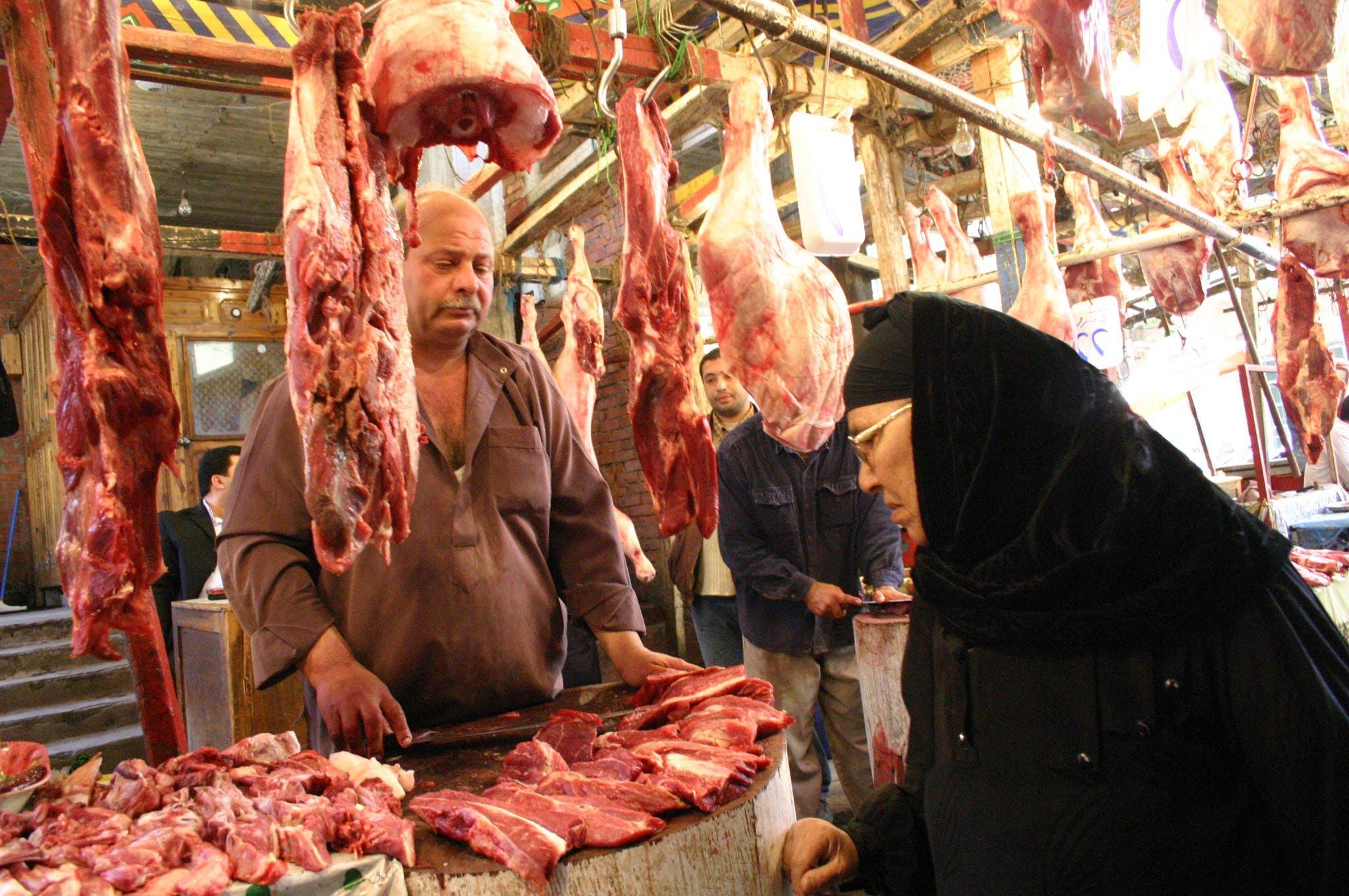 بالفيديو.. مدير “الطب البيطري” يوضح طريقة بسيطة لإكتشاف لحم الحمير