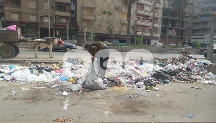 أكوام القمامة تحاصر مدينة ‫‏المحلة الكبرى بالغربية