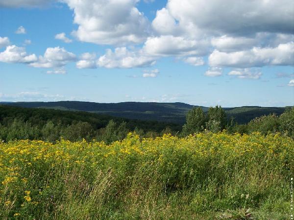 تقرير أممي: ثقب الأوزون في طريقه للانغلاق عام ٢٠٥٠