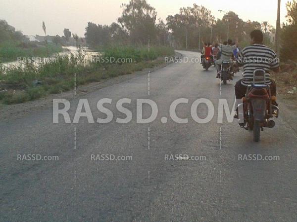 فعاليتان في “الجمالية” و”السنبلاويين” بـ “الدقهلية”