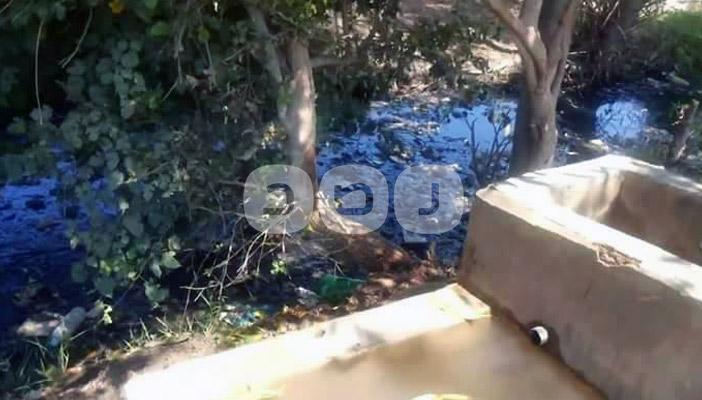 تلوث مياه الري يهدد الزراعة وصحة المواطنين بالغربية