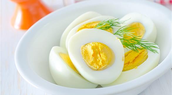 بالفيديو.. عالم ينال جائزة الحماقة لإعادة بيضة مسلوقة لحالتها النيئة