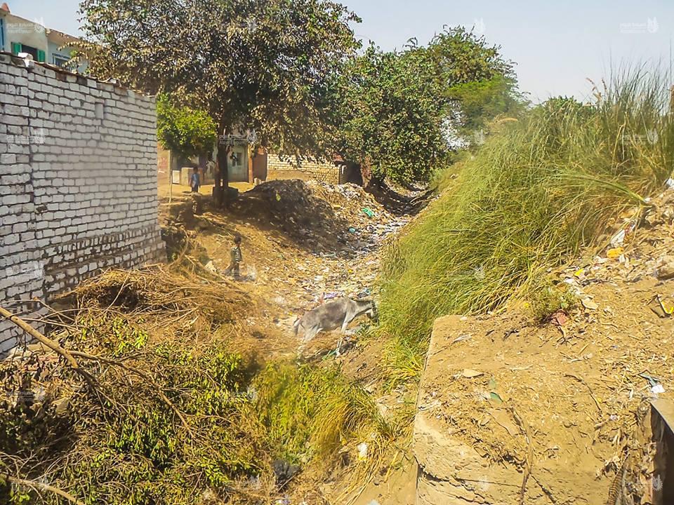 الأراضي في قرية العطف بلا مياه ري منذ ٩٠ يومًا.. والمسؤولون يتجاهلون