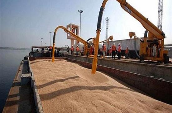 إلغاء ثالث مناقصة لاستيراد القمح بسبب “الإرجوت”