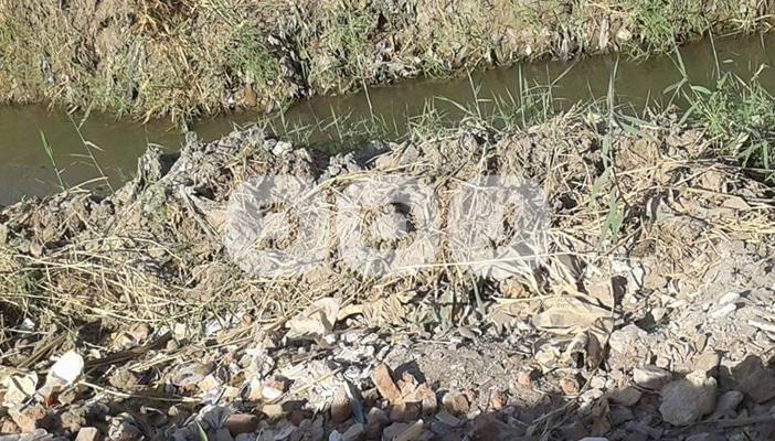 تحول مصرف لمياه الري إلى مقلب قمامة بمحافظة الفيوم