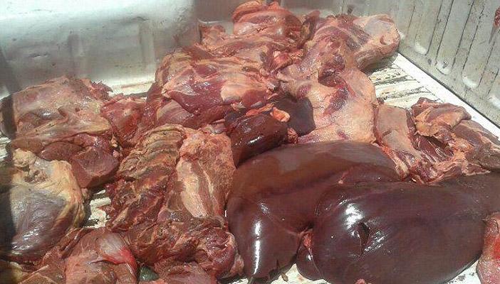 ضبط 90 كيلو لحوم فاسدة داخل منفذ حكومي بالإسماعيلية