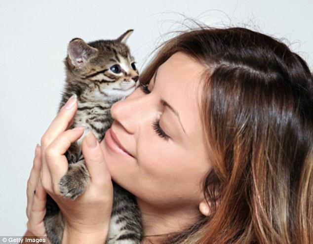 احترس من القطط الصغيرة .. مخالبها تحمل بكتريا ناقلة لمرض قاتل