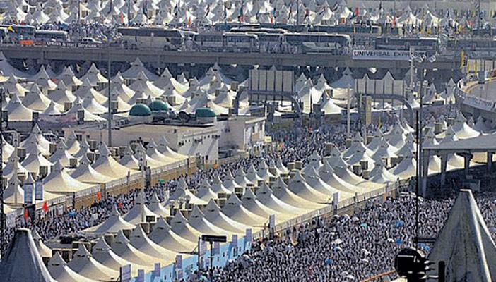 تصعيد حجاج السياحة إلى عرفات مباشرة