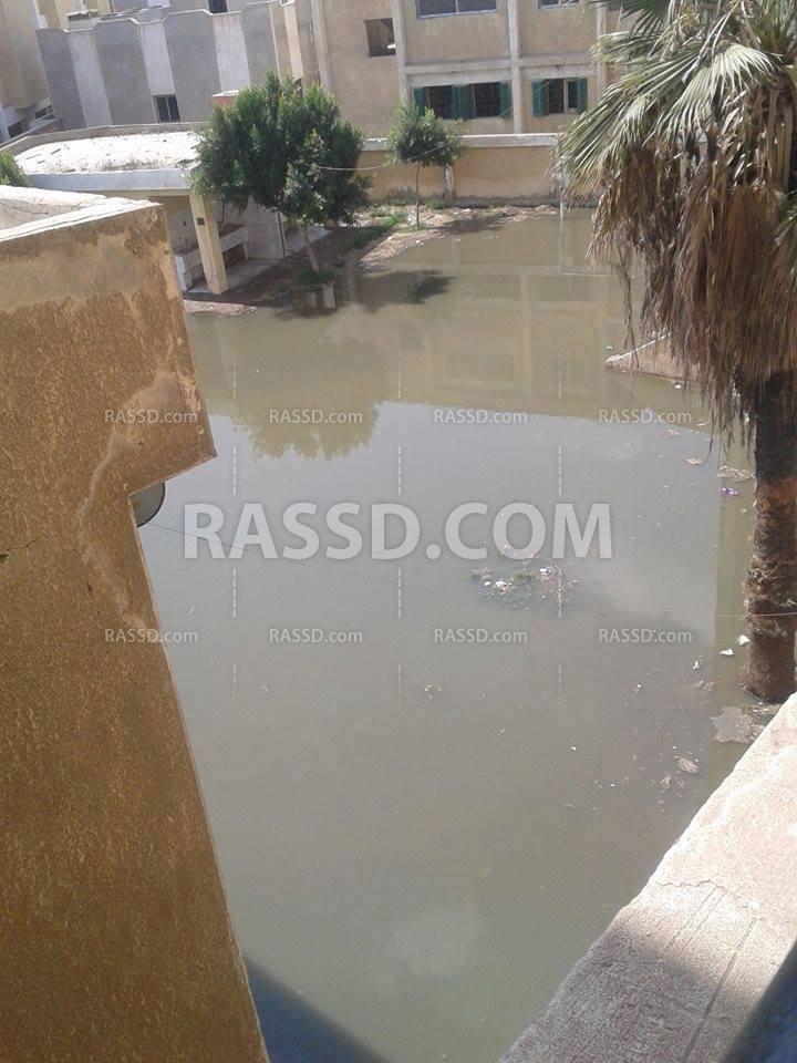 مدارس نبروه بالدقهلية تغرق في مياه الصرف الصحي