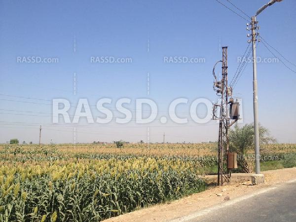 الفلّاح السوهاجي.. مشاكلٌ وهموم بالجملة