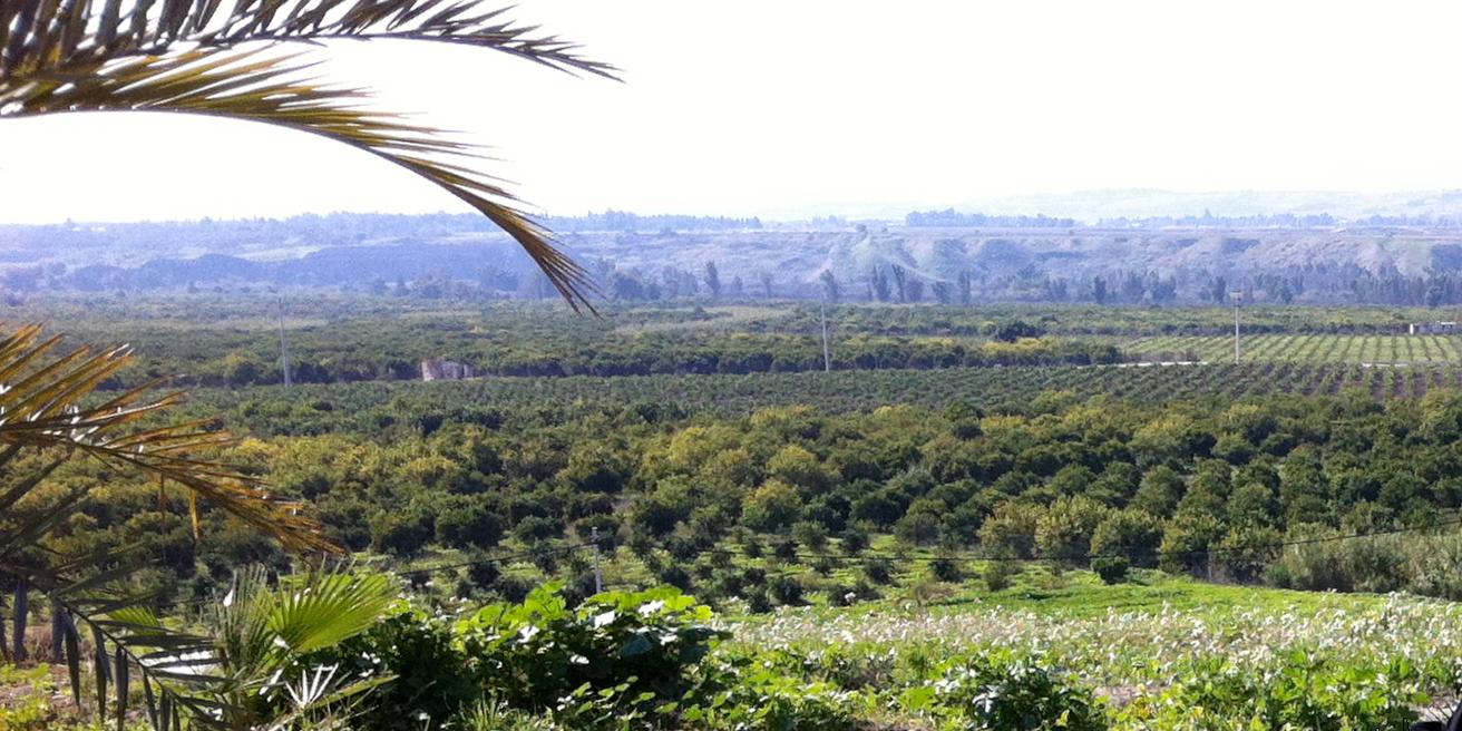 جعلوني مخابرات – بشار طافش