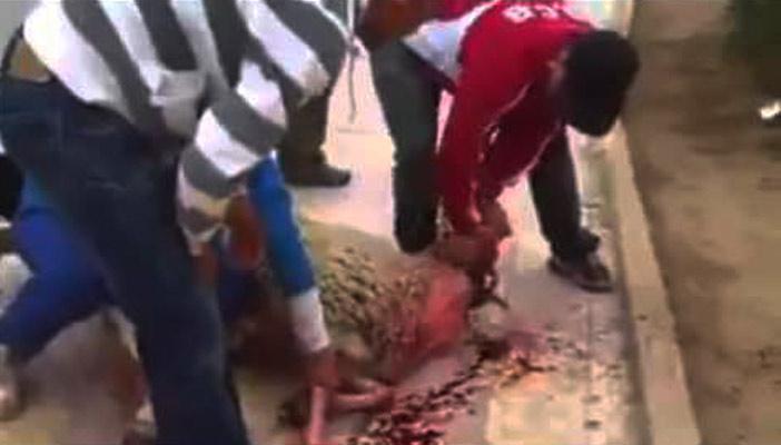 بالفيديو.. خروف يهرب من “الجزارين” بعد ذبحه