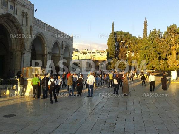 مع دعوات الانتفاضة..26 مستوطن يقتحمون الأقصى