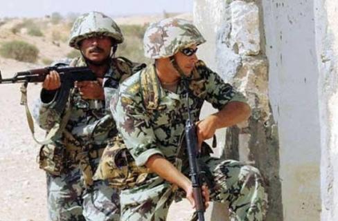 الأسكندراني:الجيش قتل ابن الشيخ المدافع دومًا عنه